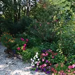 Hébergement de vacances Cascina Linét Novello