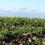 Cascina Linét Hébergement de vacances *