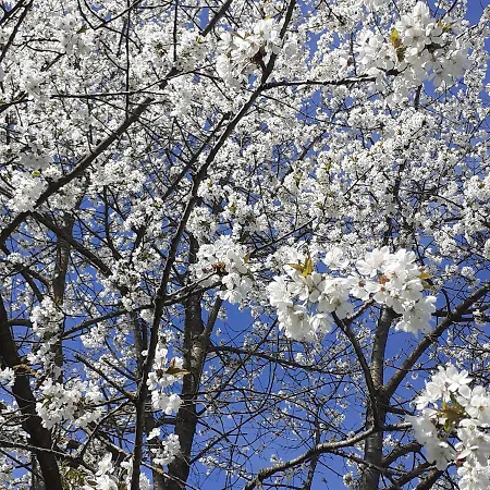 Cascina Linet Casa vacanze *