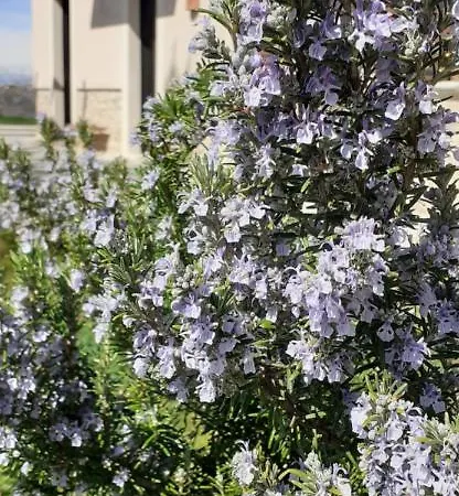 Cascina Linet Holiday home