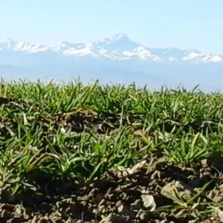 Cascina Linet Holiday home *