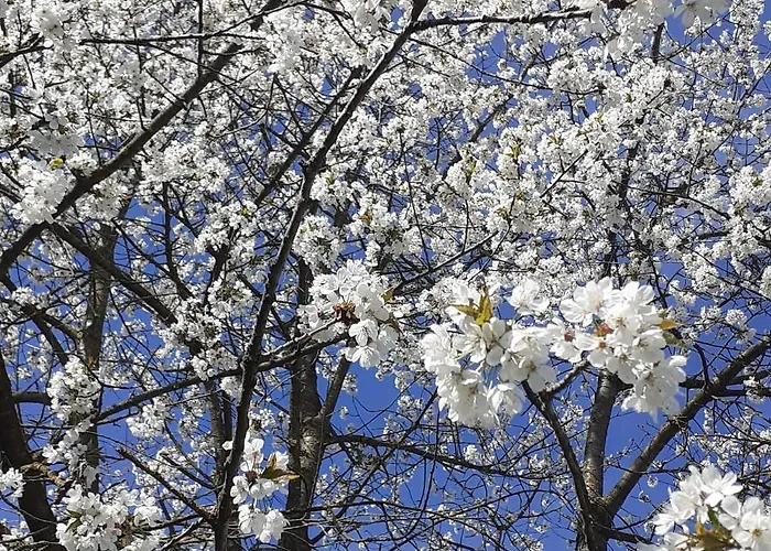 Cascina Linet Hébergement de vacances *
