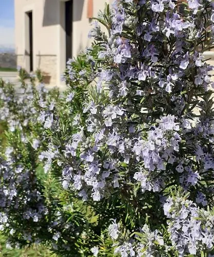 Cascina Linet Casa vacanze
