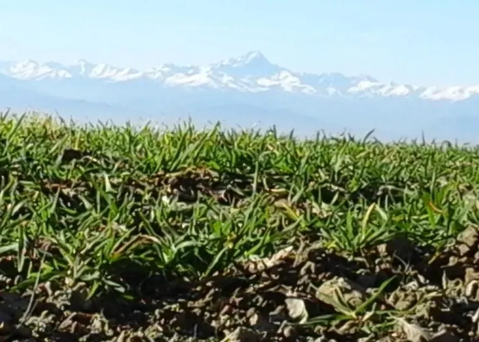 Cascina Linet Hébergement de vacances *